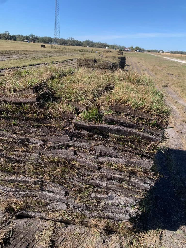 Jasal Services Company Image