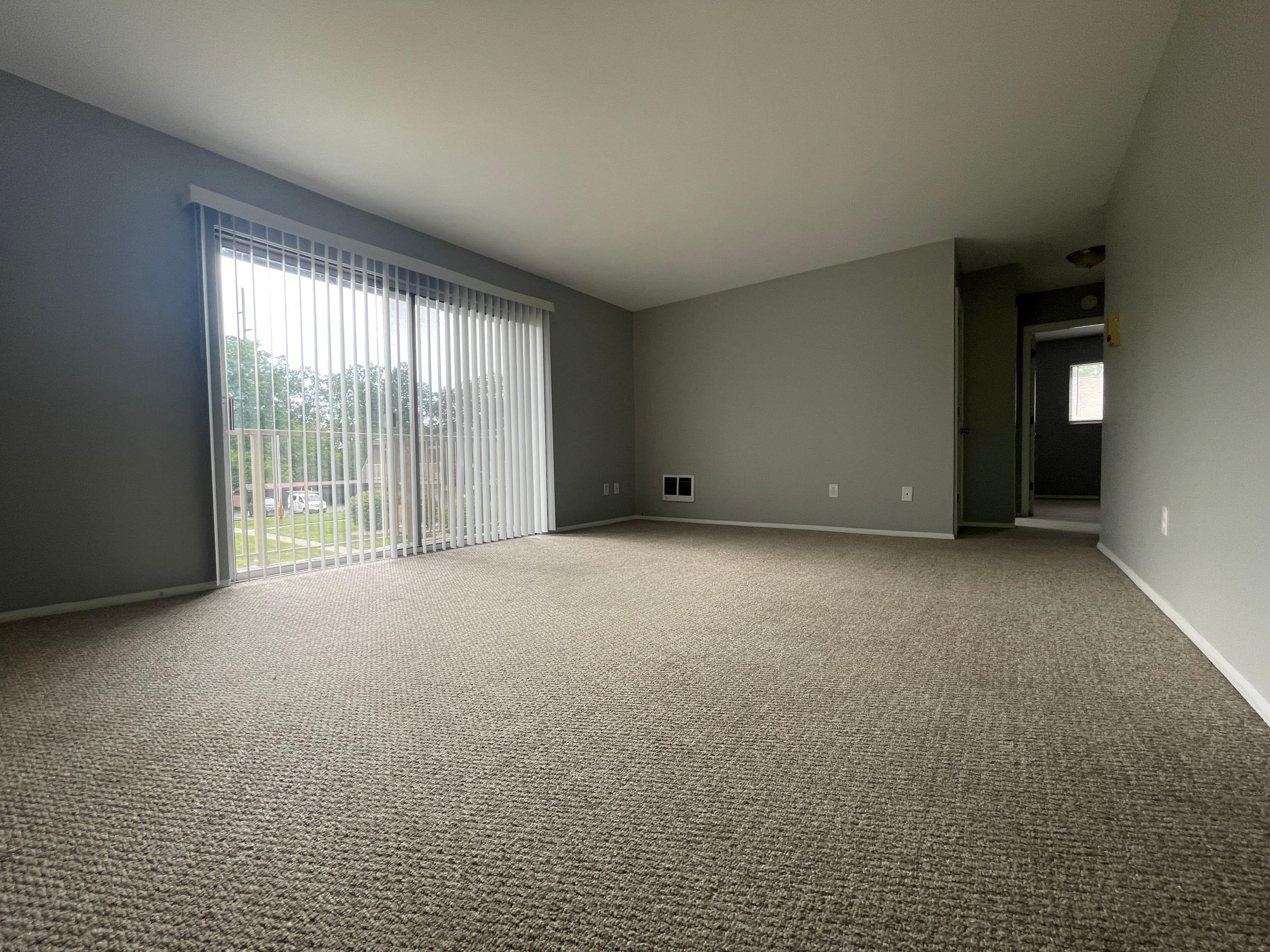 Carpeted and Spacious Apartments