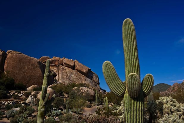 Images Boulders Resort & Spa Scottsdale, Curio Collection by Hilton