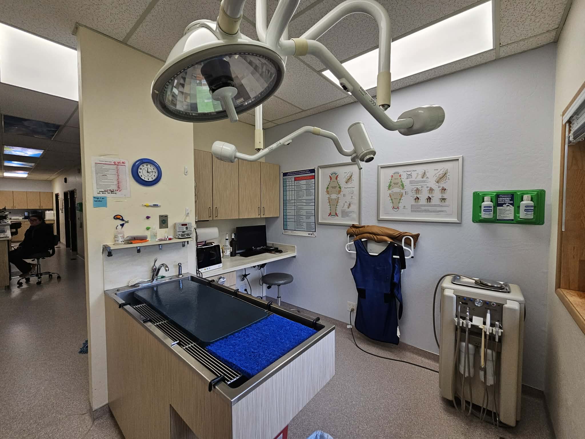VCA Big Lake Animal Hospital