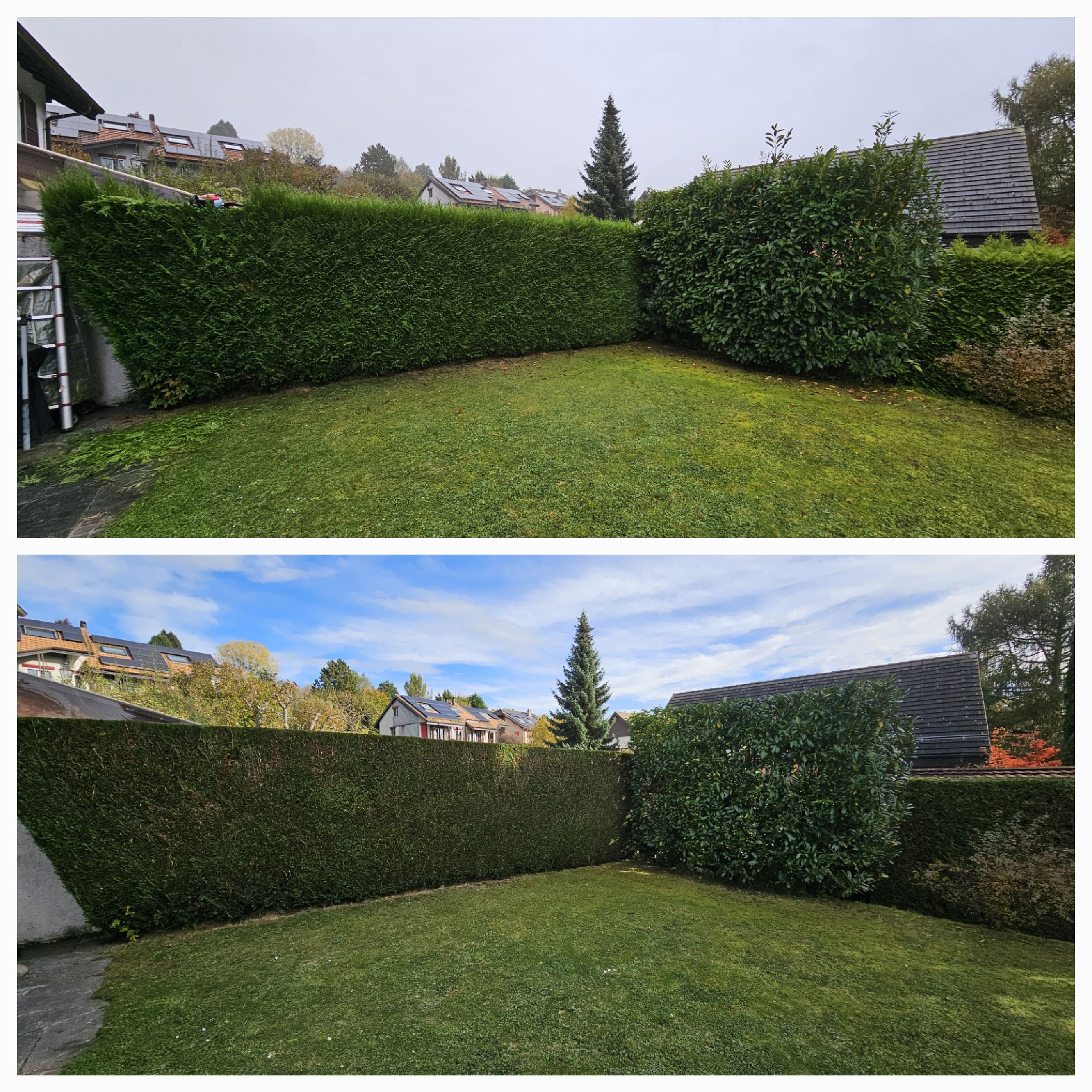Bilder A'rborescence & Paysage Sàrl