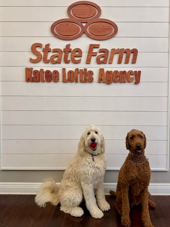 Images Katee Loftis Collett - State Farm Insurance Agent