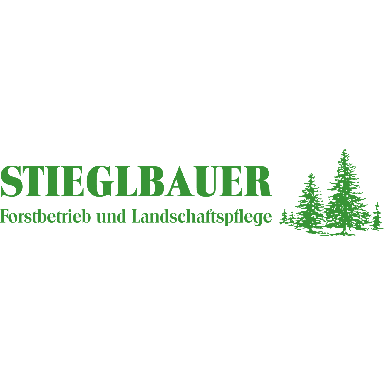 Stieglbauer Forstbetrieb in Bernried in Niederbayern - Logo