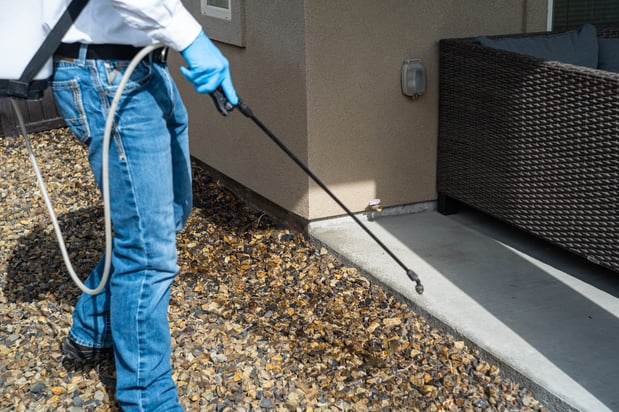 Images First Line Pest Defense