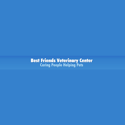 Best Friends Veterinary Center