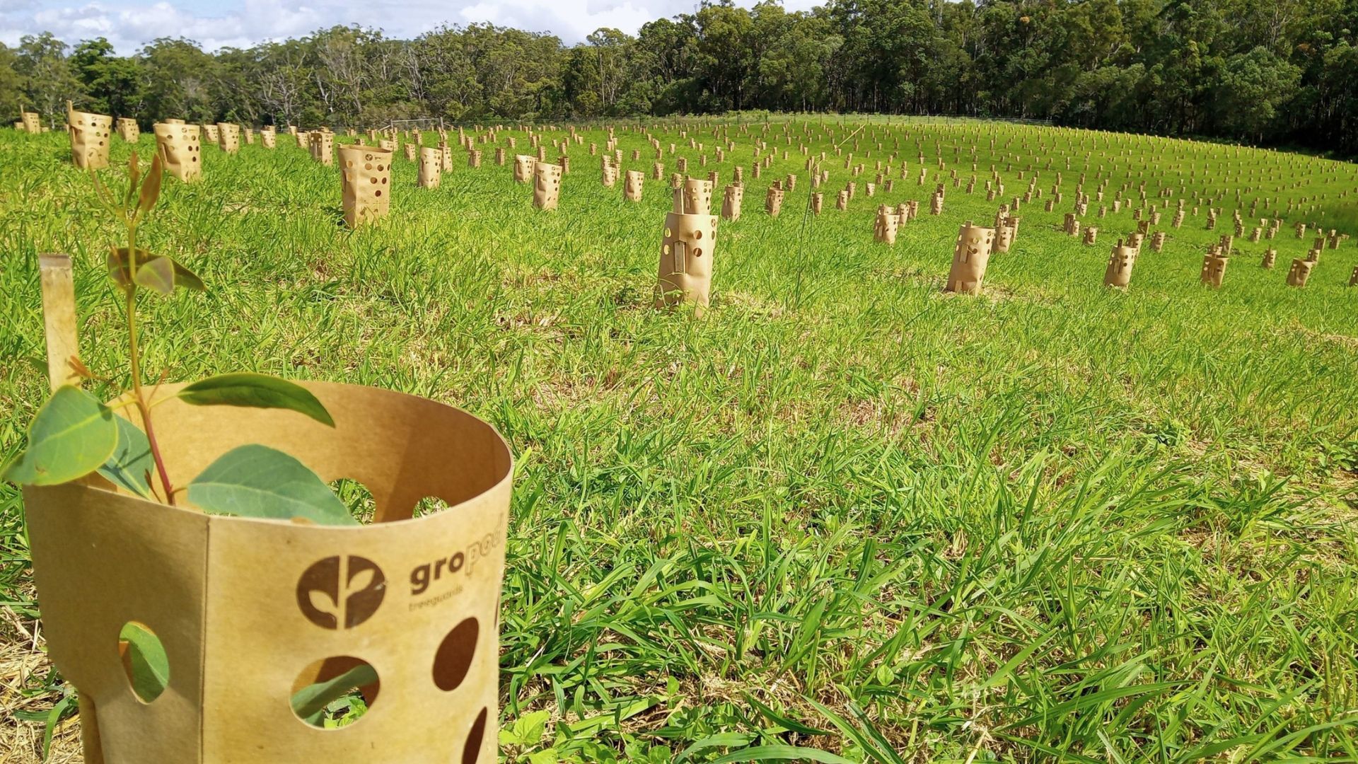 Images Gropod Tree Guard