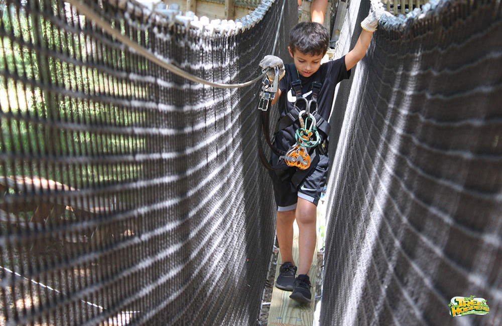 Cross challenge bridges at TreeHoppers TreeHoppers Aerial Adventure Park Dade City (813)381-5400