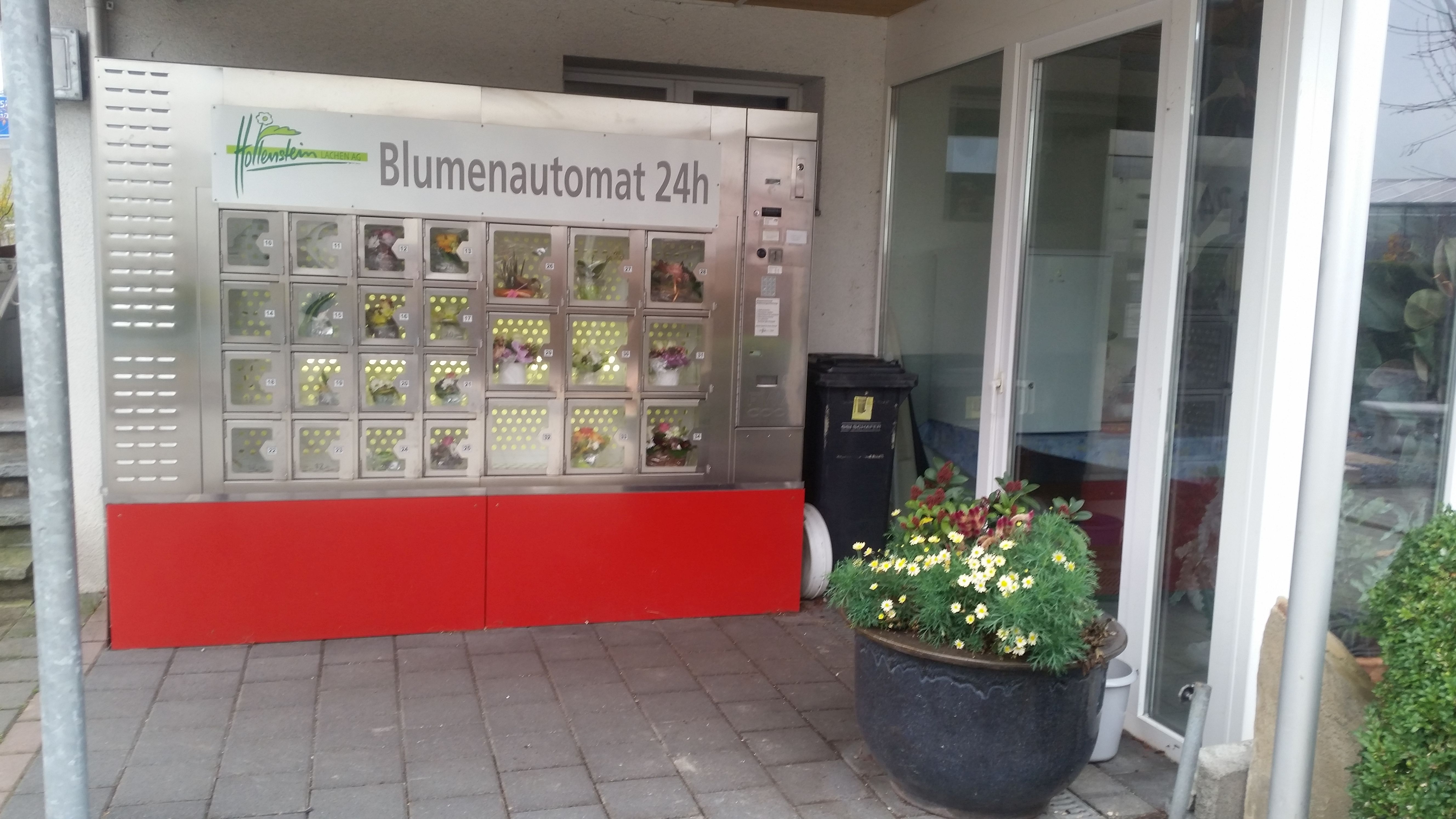 Bilder hollenstein blumengarten ag, Blumenshop, Gärtnerei, Gartenbau