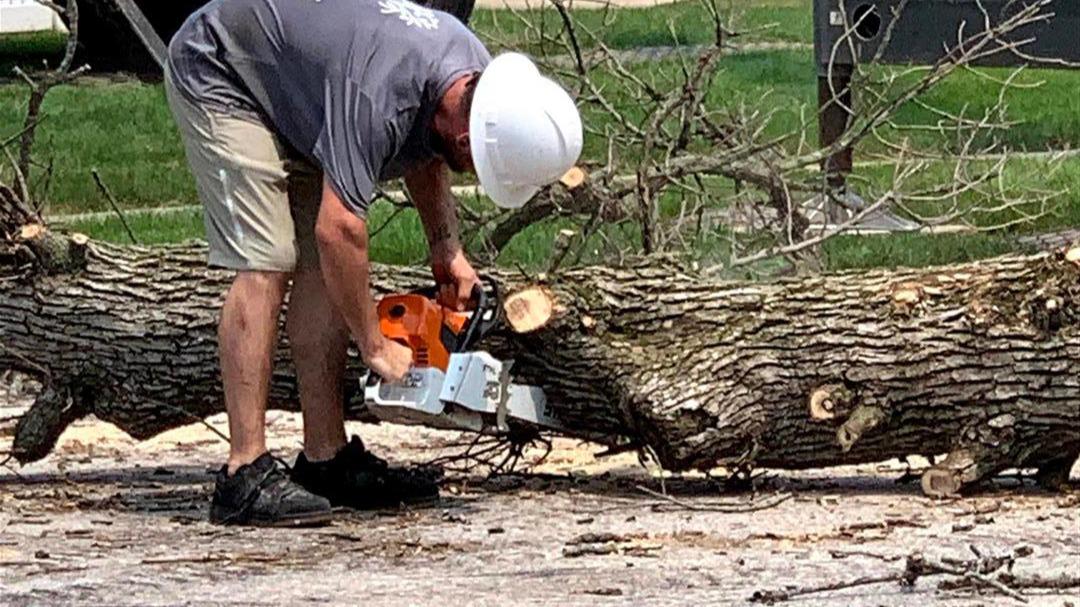 Trust the professionals at Dittmer Tree Service for all your tree care needs. With our team of certified arborists and skilled technicians, we offer a full range of professional tree services to keep your trees healthy, safe, and beautiful. From routine maintenance to complex tree projects, you can rely on us to deliver top-quality service and expert advice every time.