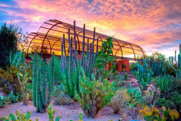 Images Holiday Inn Express & Suites Phoenix - Airport North by IHG