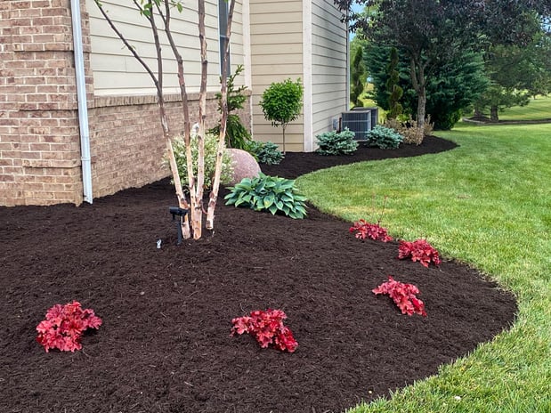 Images Superior Service Lawn Care