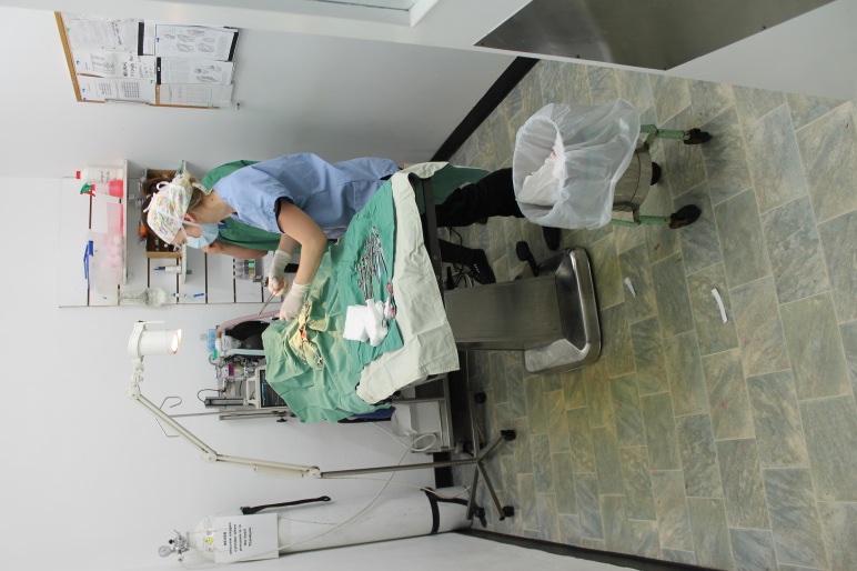 Images Duncan McGinness Veterinary Surgeon
