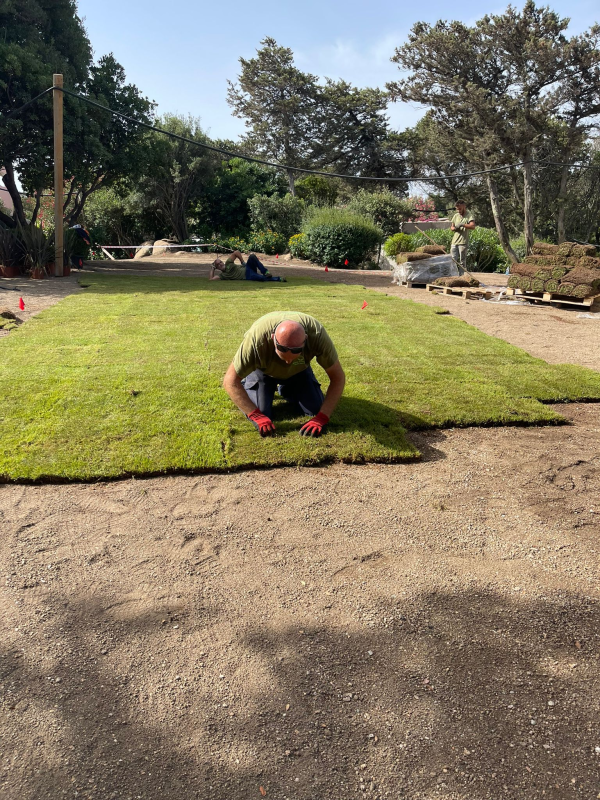 Images Disinfestazioni Ambientali Bachisio Carta