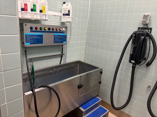 Images Petco Grooming