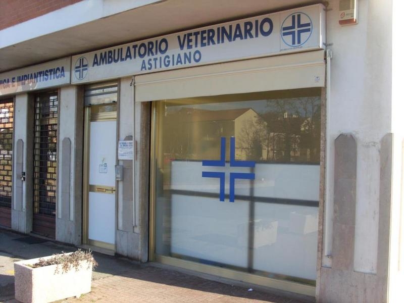 Images Ambulatorio Veterinario Astigiano Dott. Ssa  Terzuolo Roberta