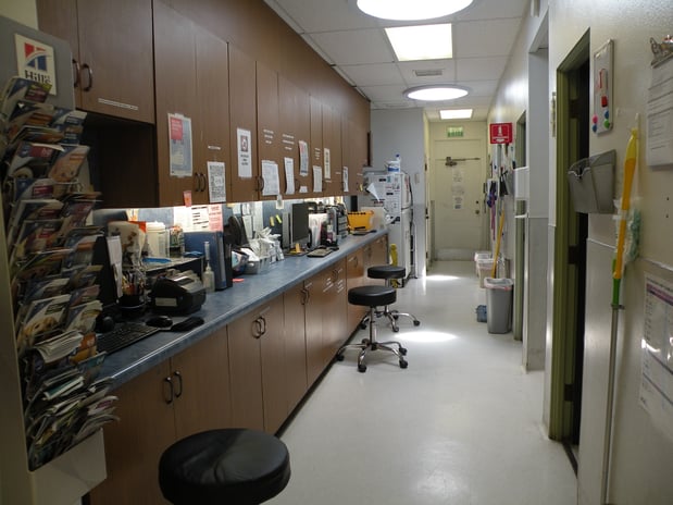Images VCA College Park - Ana Brook Animal Hospital