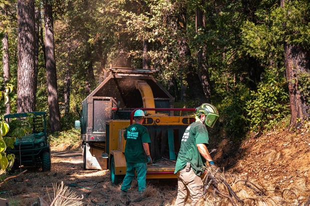 Images Am/Pm Tree Service, Inc.