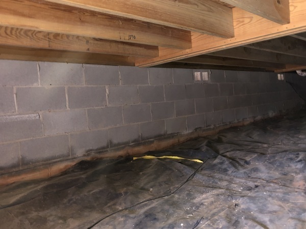 Images Ox Foundation Solutions