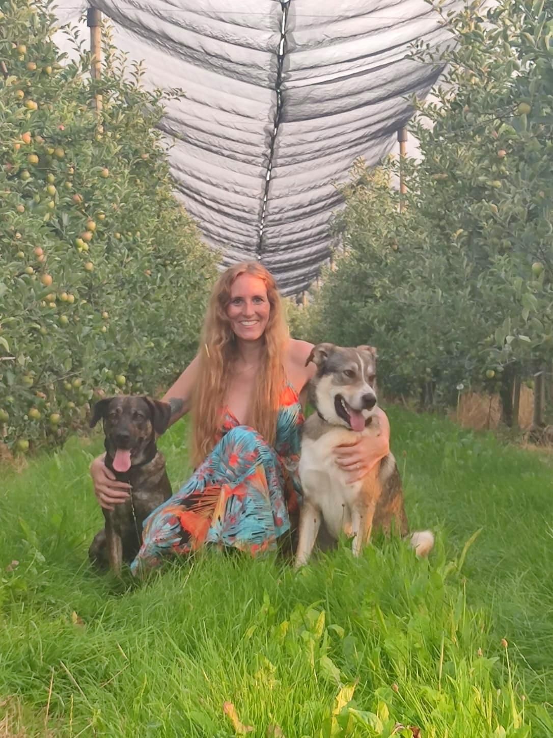 PAWtner Hundetraining Sabrina Rösch, Am Tiefenbach 10 in Ilsfeld