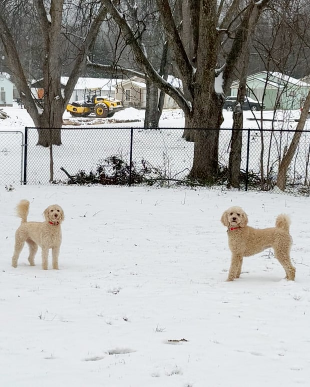 Images Matthew Maniscalco - State Farm Insurance Agent