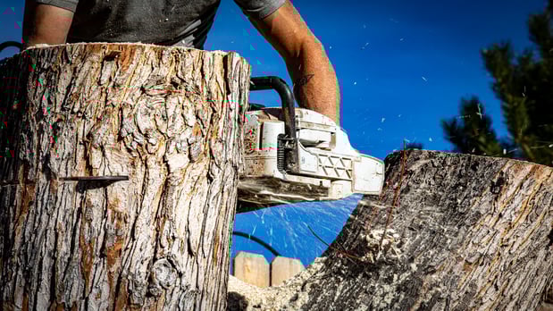 Images King Tree Service