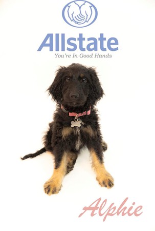Images Matt Connatser: Allstate Insurance