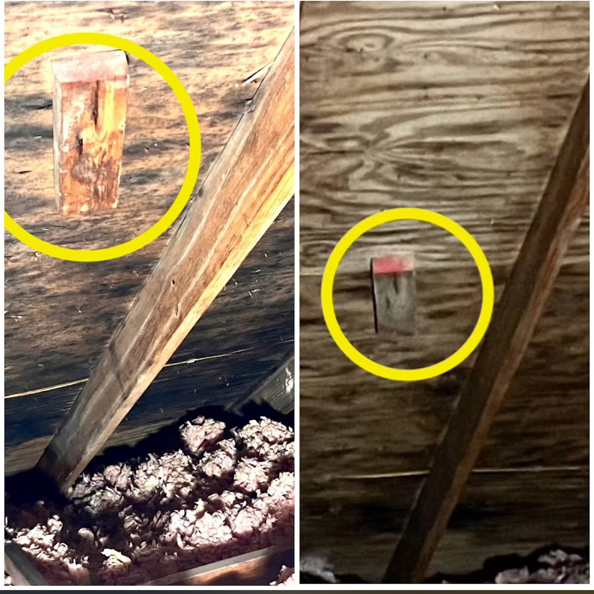 Your Crawlspace Solution Image