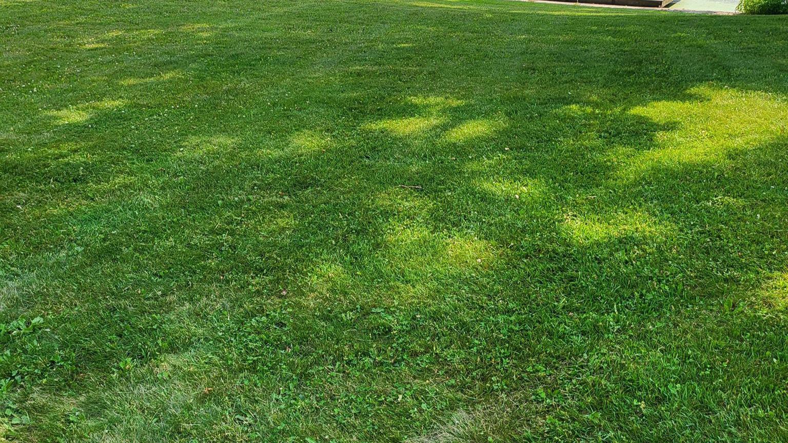 Keep your lawn in top condition with Radomski Snow Removal & Lawncare's comprehensive lawn maintenance services. Our owner, Kenneth, provides expert care for your lawn, including mowing, edging, trimming, and more. With our proactive approach to lawn maintenance, you can enjoy a healthy and beautiful lawn without the hassle of upkeep.