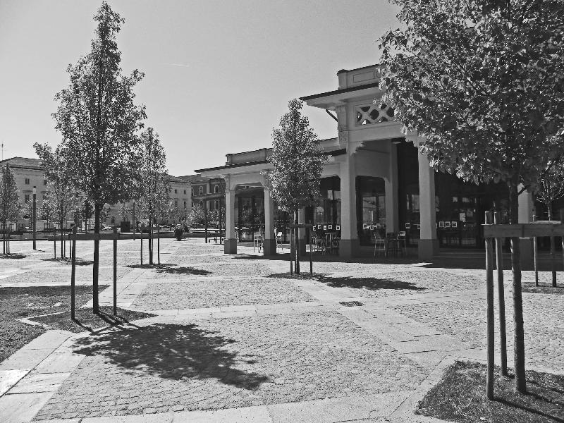 Images Tautemi Associati