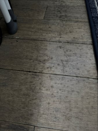 Images Voda Cleaning & Restoration