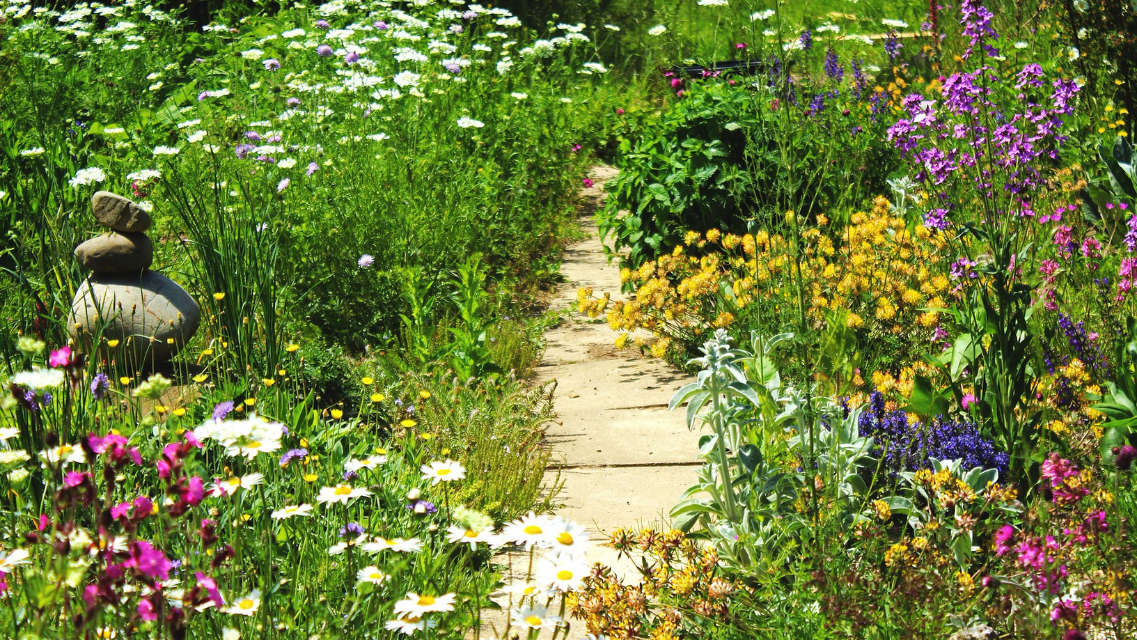 Fuchs & Igel GmbH, Frankentalerstrasse 20 in Zürich