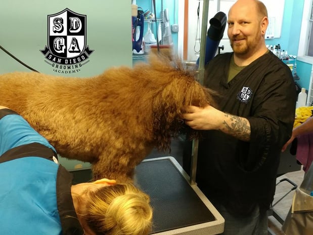 Images San Diego Grooming Academy