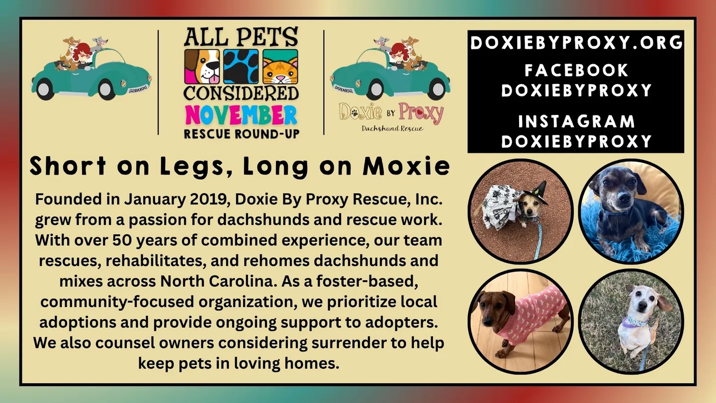 Image of Local Pet Event APC November Rescue Round-Up of the Month Nearby