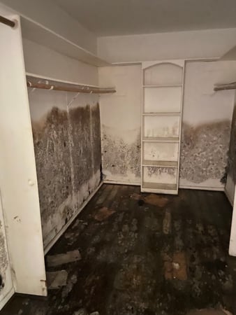 Images TMT Restorations