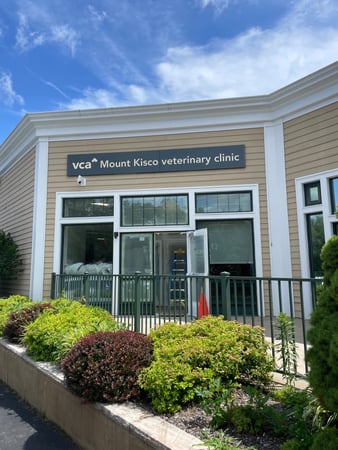 Images VCA Mount Kisco Veterinary Clinic