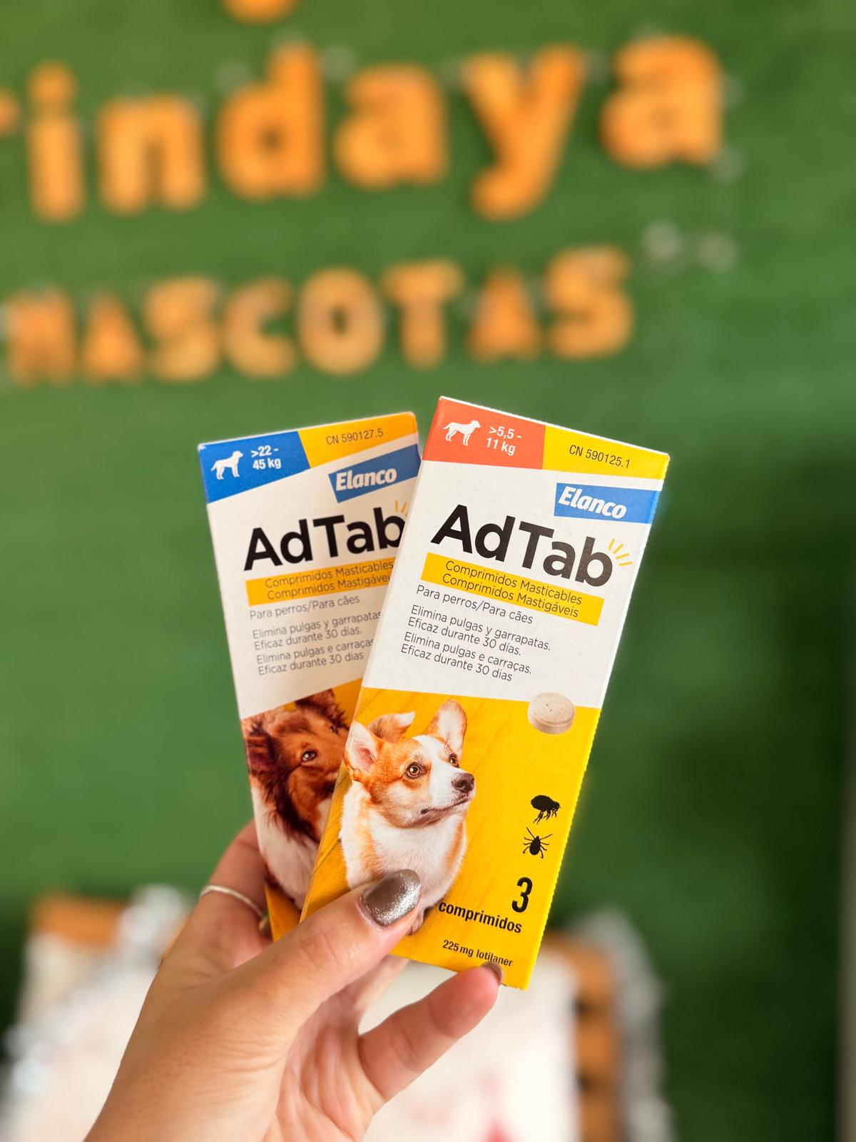 Images Mascotas Tindaya