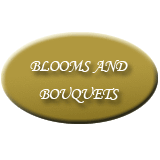 Blooms And Bouquets Logo