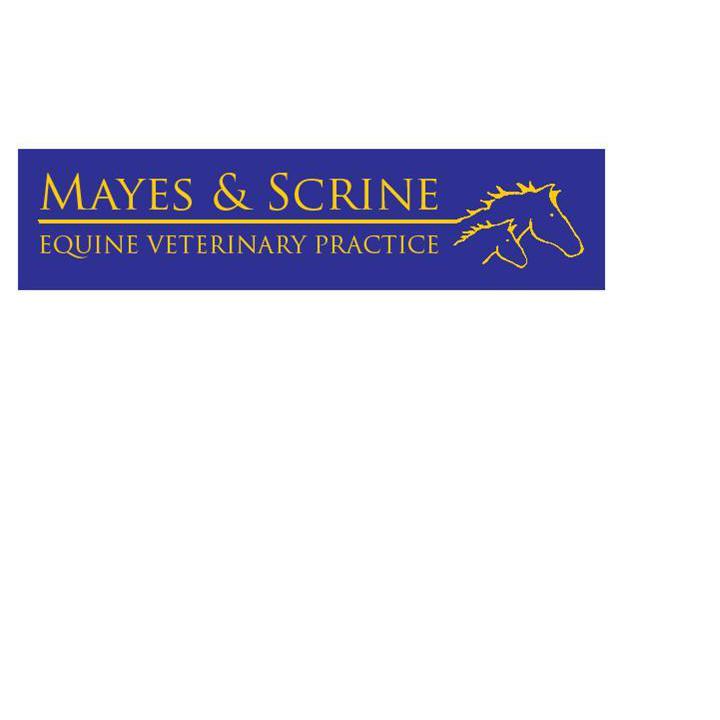 Mayes Scrine Equine Veterinary Practice Logo