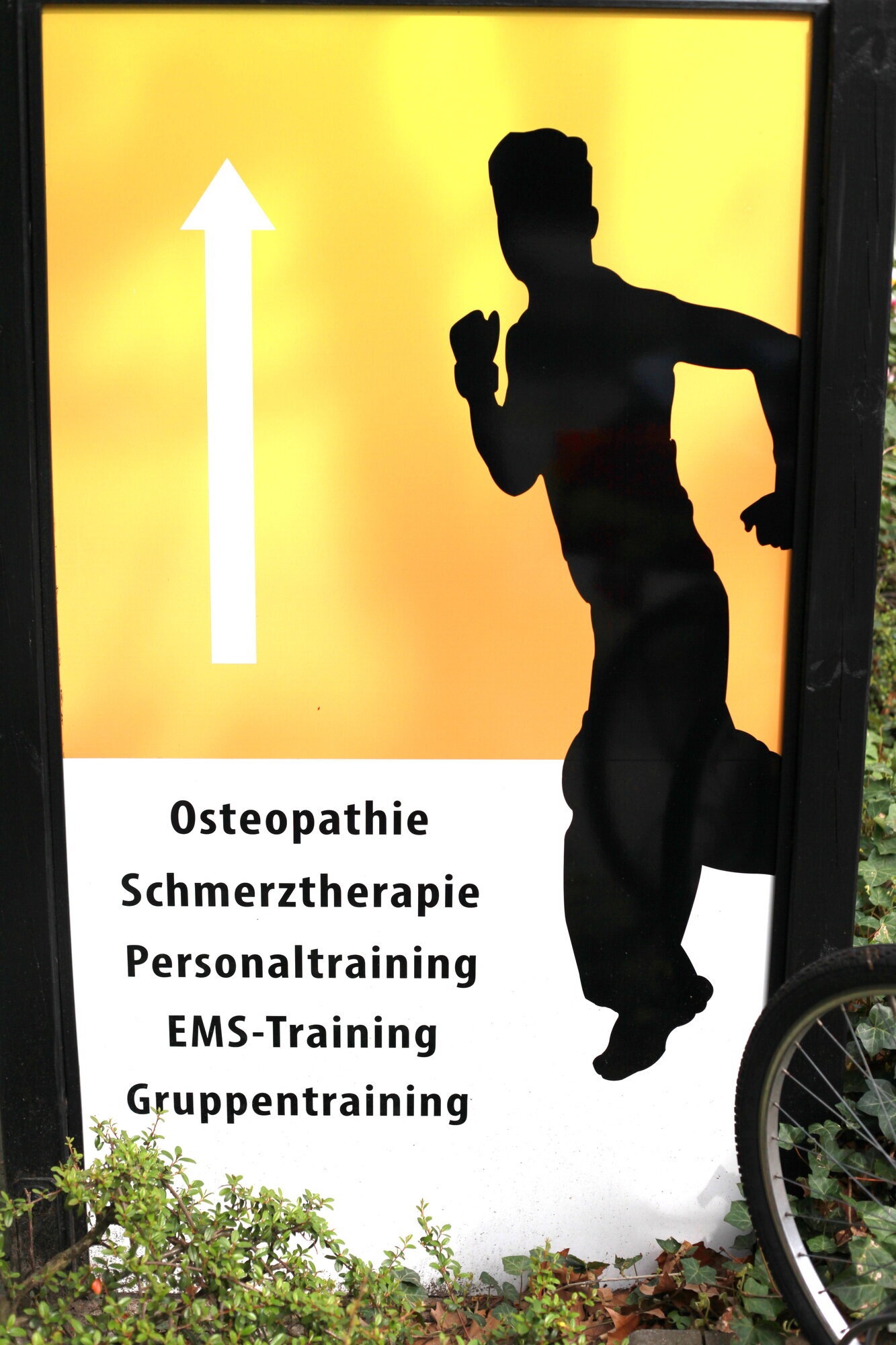 Bilder OSTEOVITAL - Osteopathie & Personal Training Hamburg