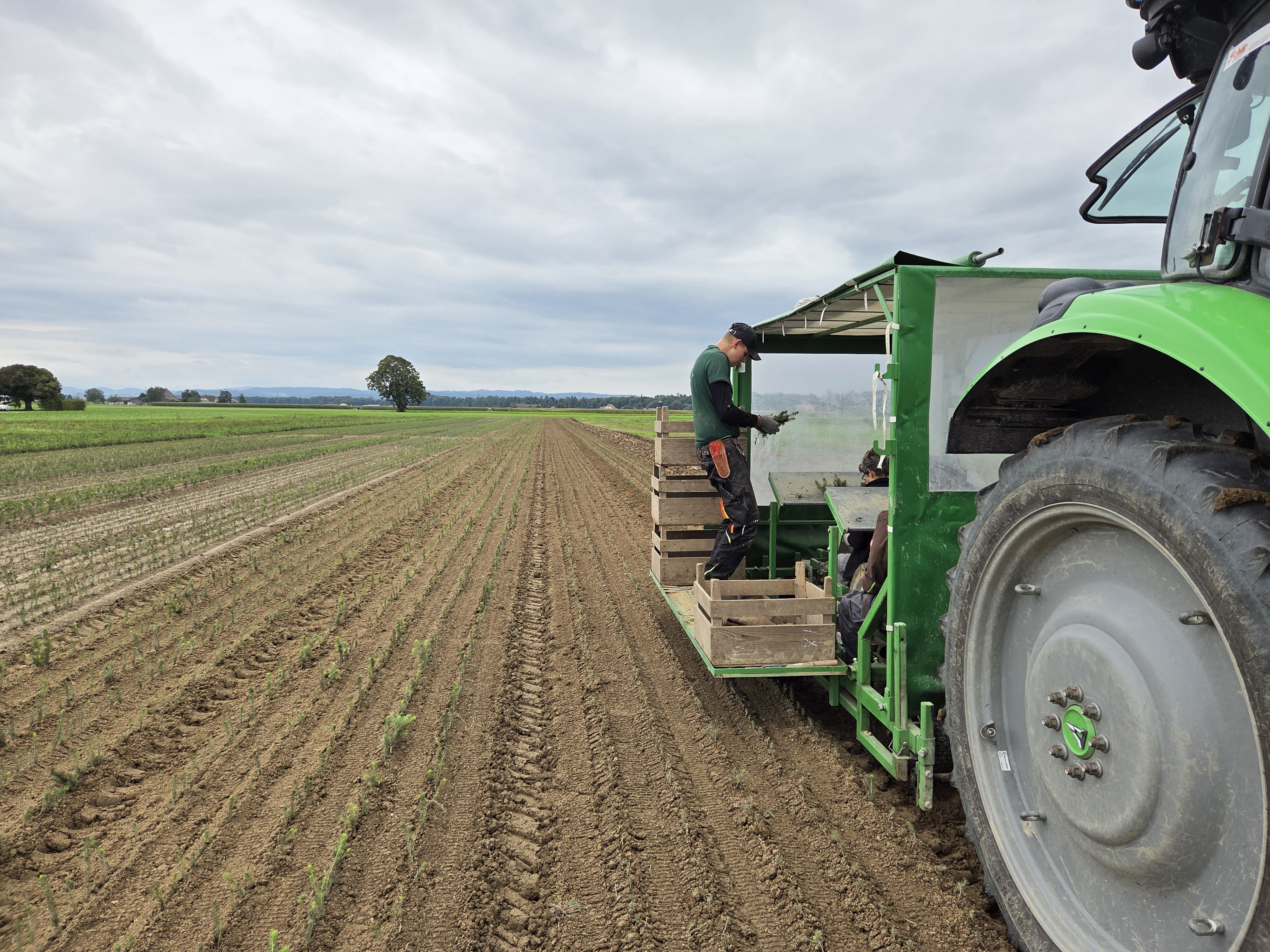 Emme Forstbaumschulen AG, Schachen 9 in Wiler b. Utzenstorf