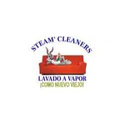 Steam Cleaners Chihuahua