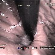 Images Doutor José Pires