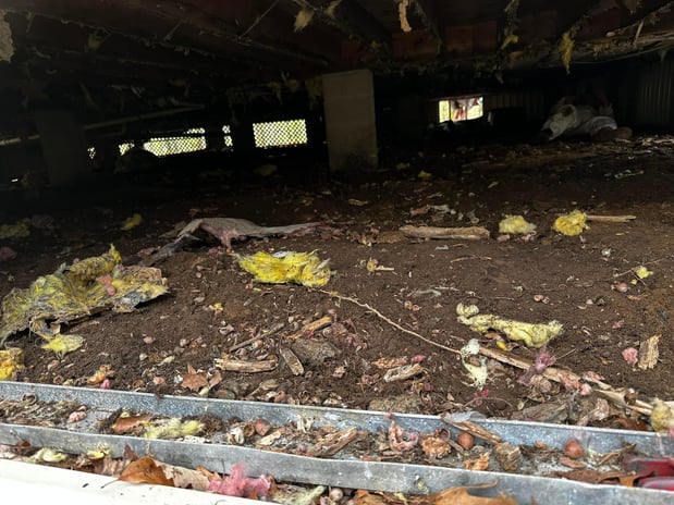 Images The Foam Guys LLC