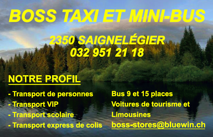 Bilder Boss taxi et mini-bus Sàrl
