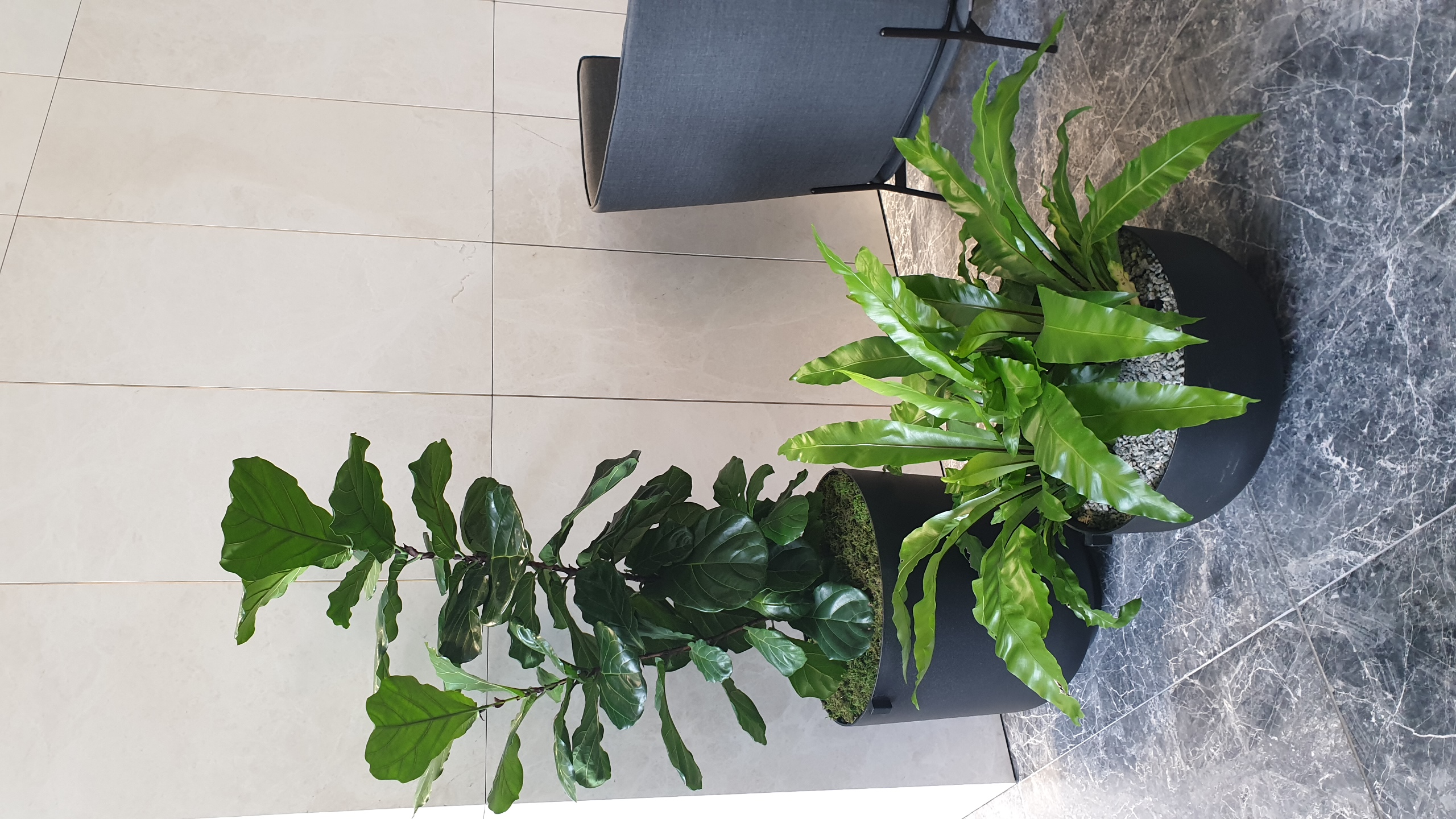 Images Plants For Hire Pty Ltd