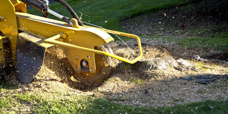 Images Vickery Lawn Service, Land Clearing, and Stump Grinding