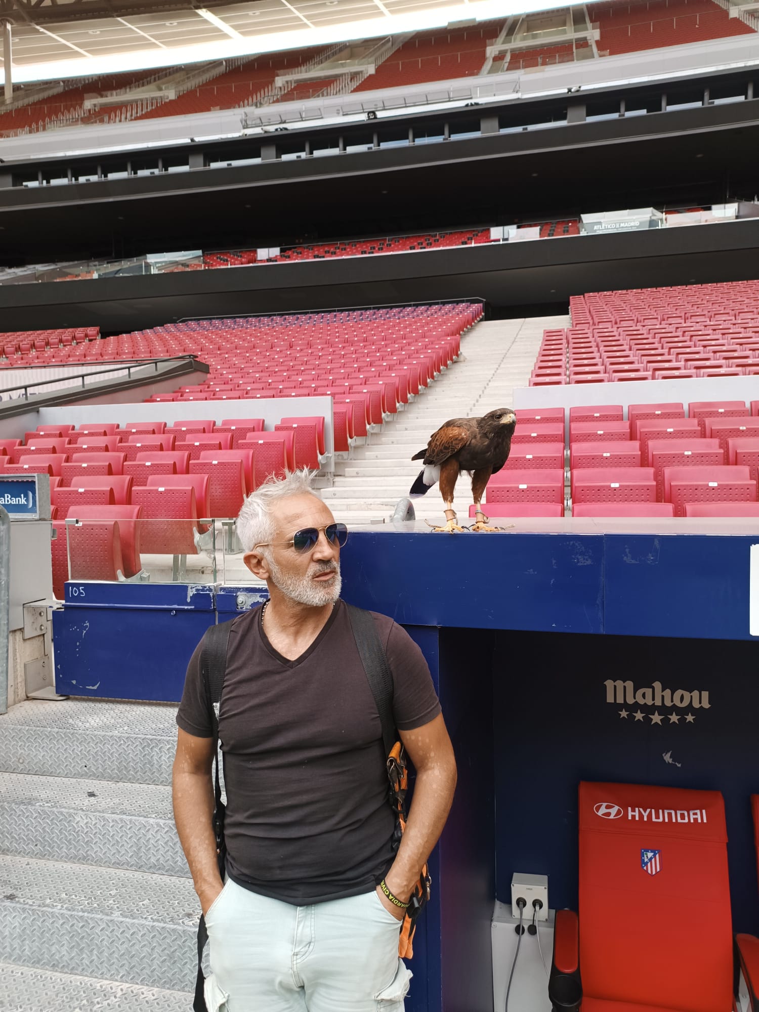 Images Bird Control Falcon S.L.