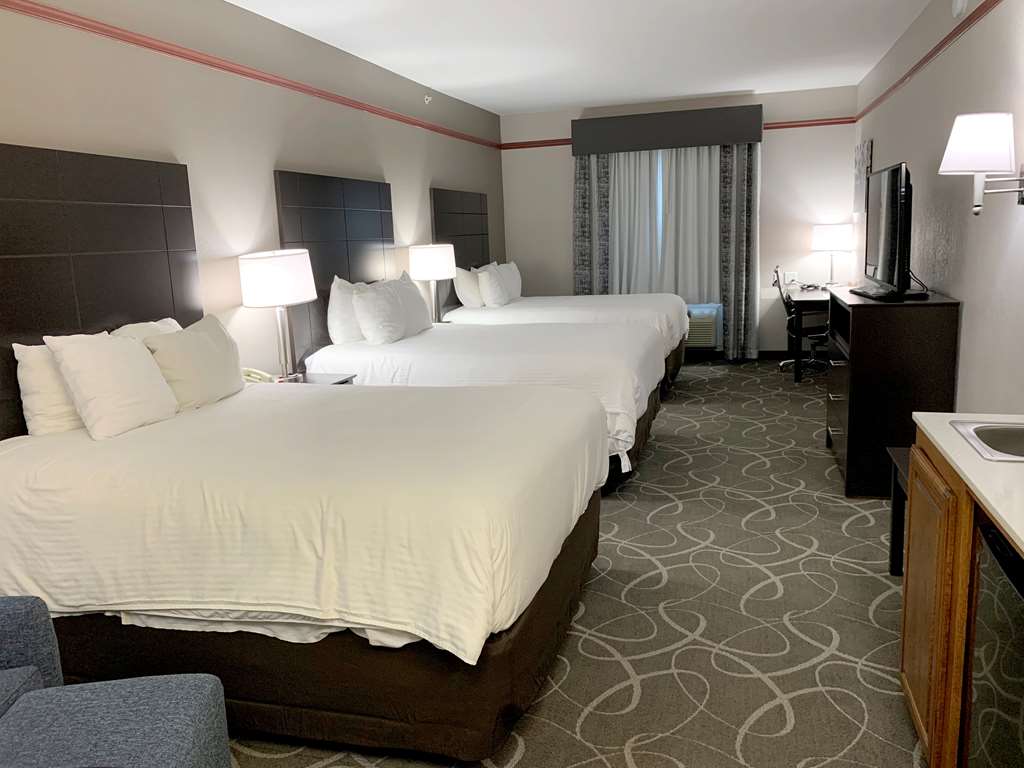 Three Queen Beds Guest Room