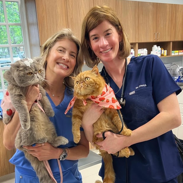 Images Southern Heart Veterinary Hospital