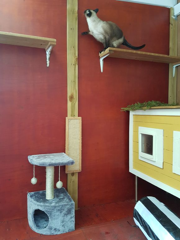 Images Norra Stockholm Katt&Hund